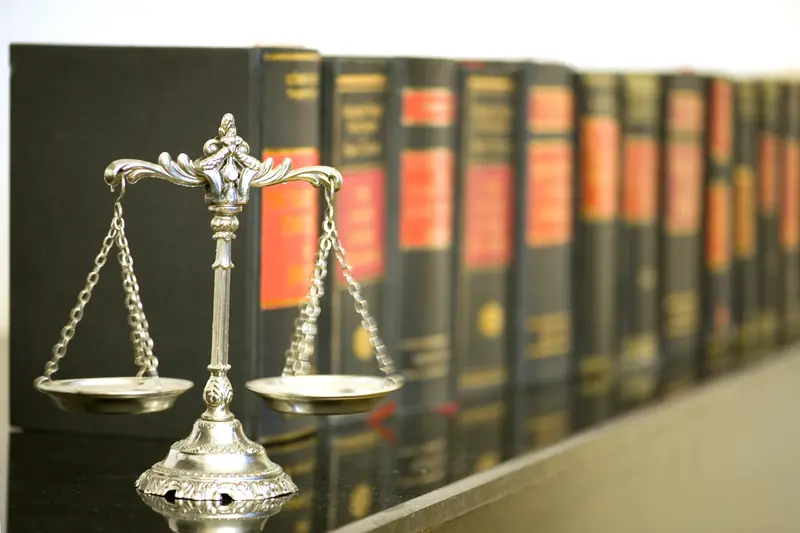 privatization-law